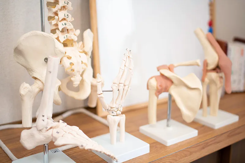 誠実な対応でお客様の健康を支える