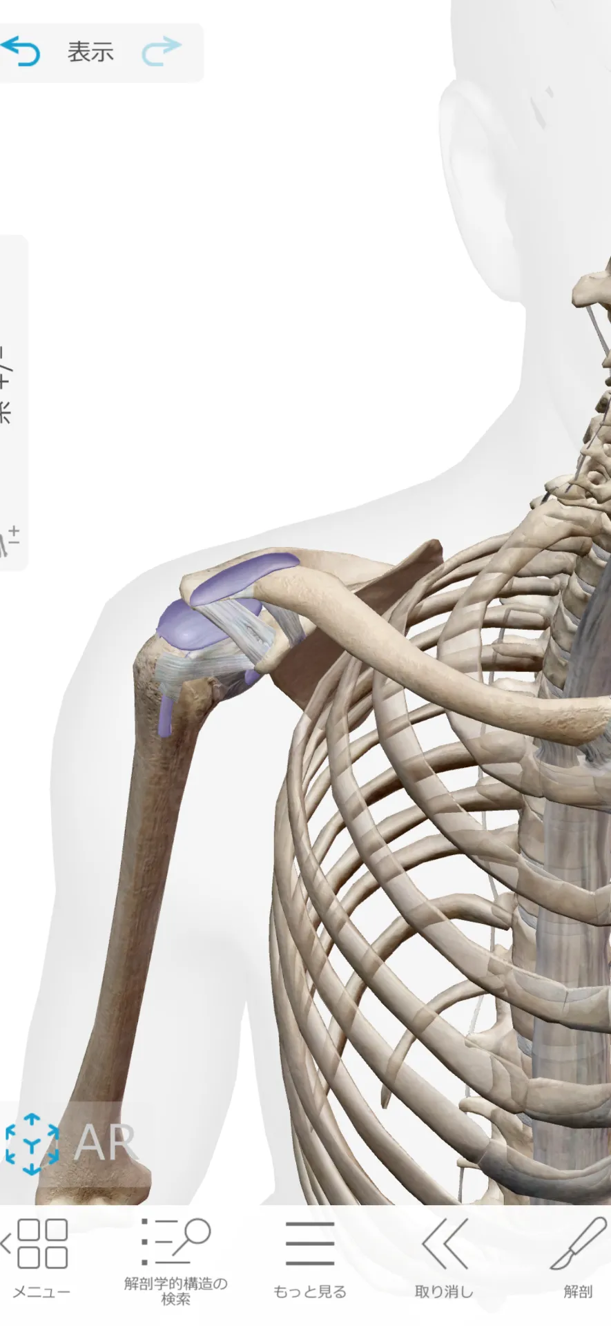 五十肩の症状と改善までの期間